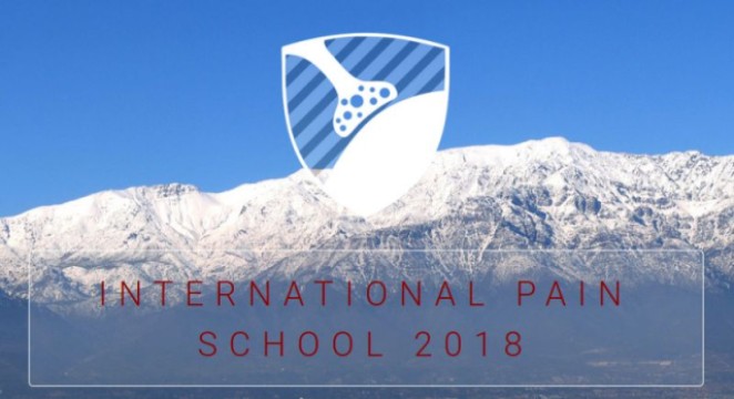  Pain School Sudamérica, Chile 2018